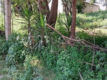 VENTA TERRENO ARBOLADO SAN JUAN CUAUTLANCINGO CENTRO