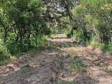 VENTA TERRENO ARBOLADO SAN JUAN CUAUTLANCINGO CENTRO