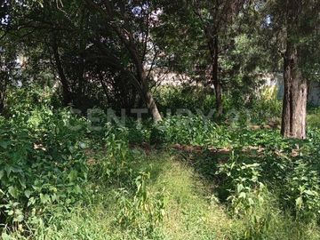 VENTA TERRENO ARBOLADO SAN JUAN CUAUTLANCINGO CENTRO