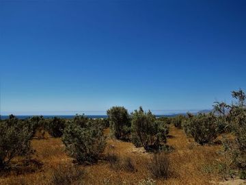 MARAVILLOSAS PARCELAS EN LOMAS DEL TANGUE