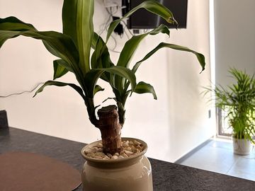 EN RENTA DEPARTAMENTO TIPO ESTUDIO, AMUEBLADO, COLONIA AMERICANA