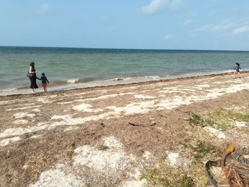 Terreno en venta en prímela fila en San crisanto