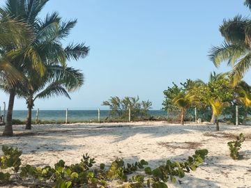 Terreno en venta en prímela fila en San crisanto