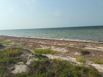 Terreno en venta en prímela fila en San crisanto