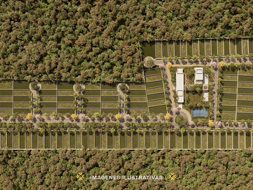 Terreno en Venta en Navelia, San Ignacio