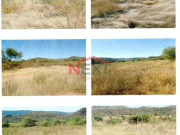 RANCHO EN VENTA UBICADO EN MUNICIPIO DE ROSARIO, SONORA.