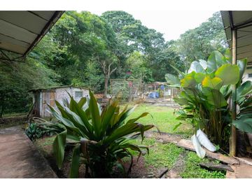 SE VENDE GALERA EN LA CHORRERA, CERCA  A MYSTIC CITY