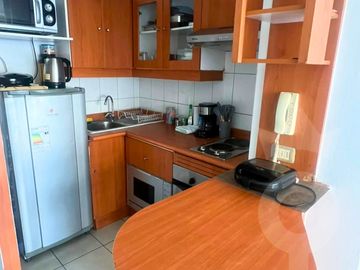 ARRIENDO DEPARTAMENTO 1HAB 1 BA SANTIAGO