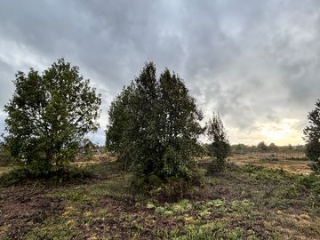 HERMOSA PARCELA EN CLUB DE CAMPO RESIDENCIAL
