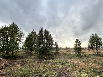 HERMOSA PARCELA EN CLUB DE CAMPO RESIDENCIAL