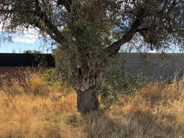 VENTA LOTE 500 M2 MAIPU B PRIVADO MISTERBIANCO