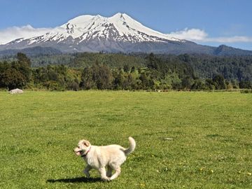 Parcela en venta  en PUERTO VARAS