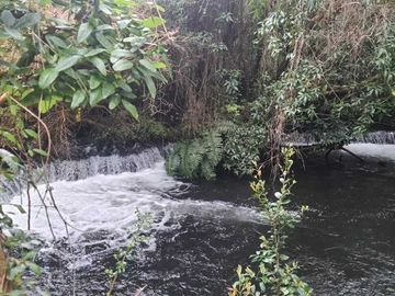 Parcela en venta  en PUERTO VARAS