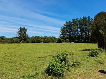 Parcela en venta  en PUERTO VARAS