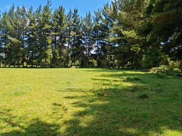Parcela en venta  en PUERTO VARAS