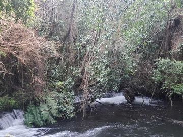 Parcela en venta  en PUERTO VARAS