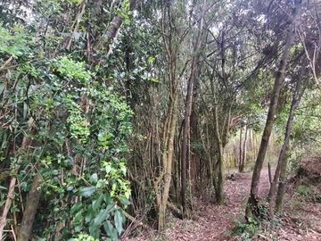 Parcela en venta  en PUERTO VARAS