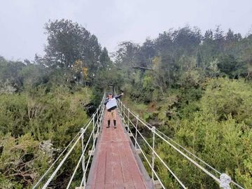 Parcela en venta  en PUERTO VARAS