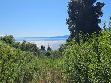 Parcela en venta  en PUERTO VARAS