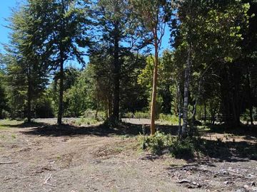 Parcela en venta  en PUERTO VARAS
