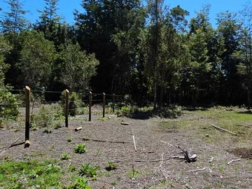 Parcela en venta  en PUERTO VARAS