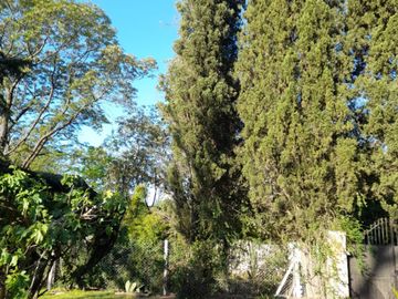 VENTA 3 CASAS EN 4 LOTES C/PISCINA LA LONJA PILAR