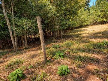 Parcela de agrado - Venta - Ñancul, Villarrica