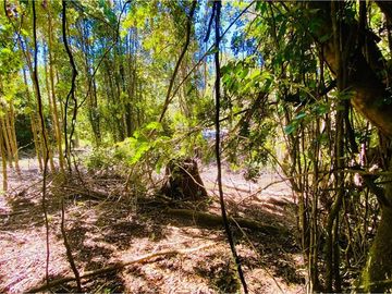 Parcela de agrado - Venta - Ñancul, Villarrica