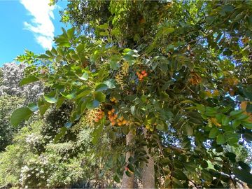 Parcela de agrado - Venta - Ñancul, Villarrica