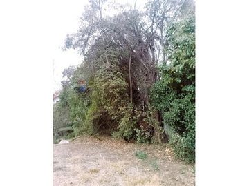 Venta  Terreno  Sector Jardín  de La Dehesa