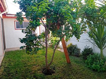 Casa Aislada 3d, 3B y 2E Condominio