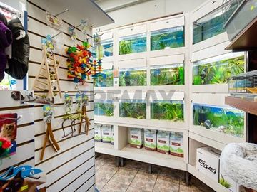 VENTA DERECHO DE LLAVE PET SHOP, MALL APUMANQUE