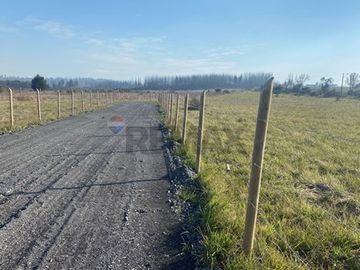 Parcela en Paso Hondo, límite Yumbel y Quillón
