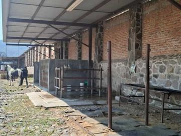 Espectacular Rancho en Venta en Cajititlan Jal. 15 Hectareas