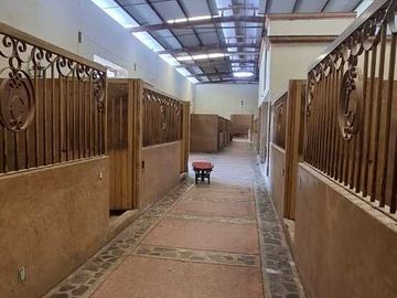 Espectacular Rancho en Venta en Cajititlan Jal. 15 Hectareas