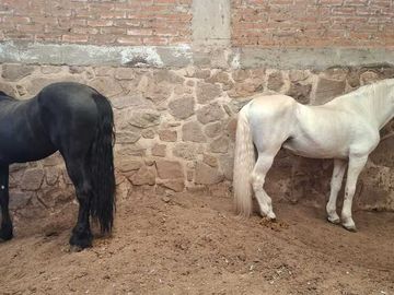 Espectacular Rancho en Venta en Cajititlan Jal. 15 Hectareas