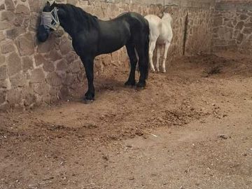 Espectacular Rancho en Venta en Cajititlan Jal. 15 Hectareas