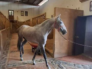 Espectacular Rancho en Venta en Cajititlan Jal. 15 Hectareas