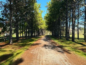 Venta lote de 1 ha con escritura La Macarena