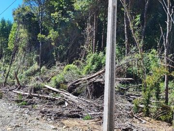 LOS MADEROS DE PUERTO VARAS