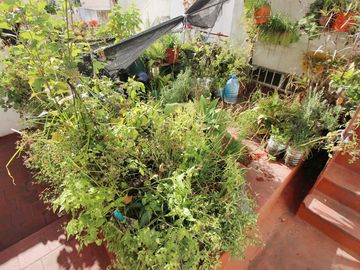 Ph 4 ambientes en venta en villa Luro con terraza