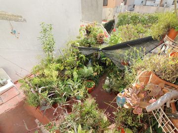 Ph 4 ambientes en venta en villa Luro con terraza