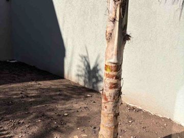 PH / CASA UF A ESTRENAR CON COCHERA Y JARDIN