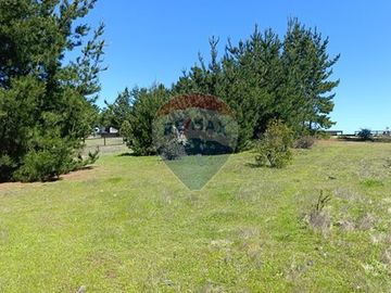 Terreno Plano 5.000 m² Vista Mar Protegido Viento