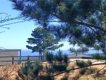 Terreno Plano 5.000 m² Vista Mar Protegido Viento