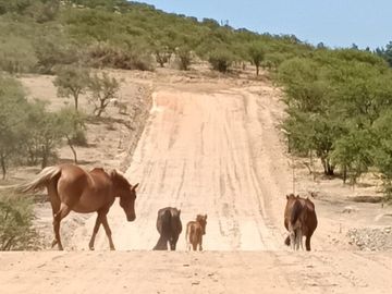 PARCELAS EN VENTA A 5 MINUTOS DEL LAGO RAPEL CRÉDITO DIRECTO
