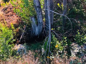 PARCELAS CON QUINCHO A SÓLO 2 KM DEL SALTO DEL LAJA