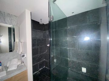 DEPARTAMENTO AMUEBLADO HYATT ANDARES