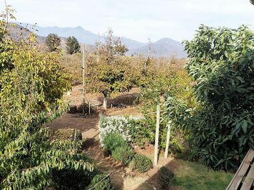 Parcela en venta de 2 hectáreas,  productiva, en El Melón, Nogales. 15.350 UF.