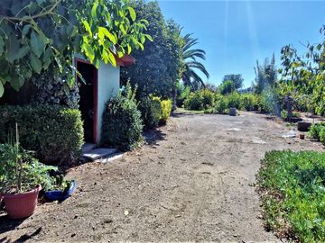 Parcela en venta de 2 hectáreas,  productiva, en El Melón, Nogales. 15.350 UF.